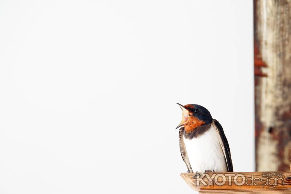 見守り中の休息