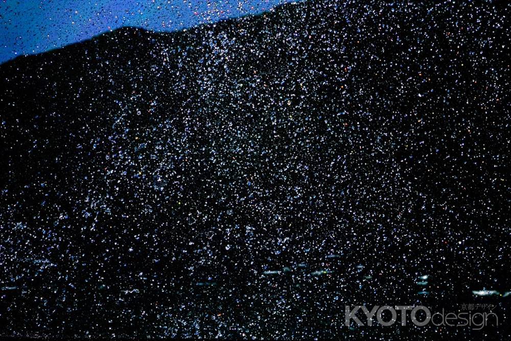 激しく宙に舞う