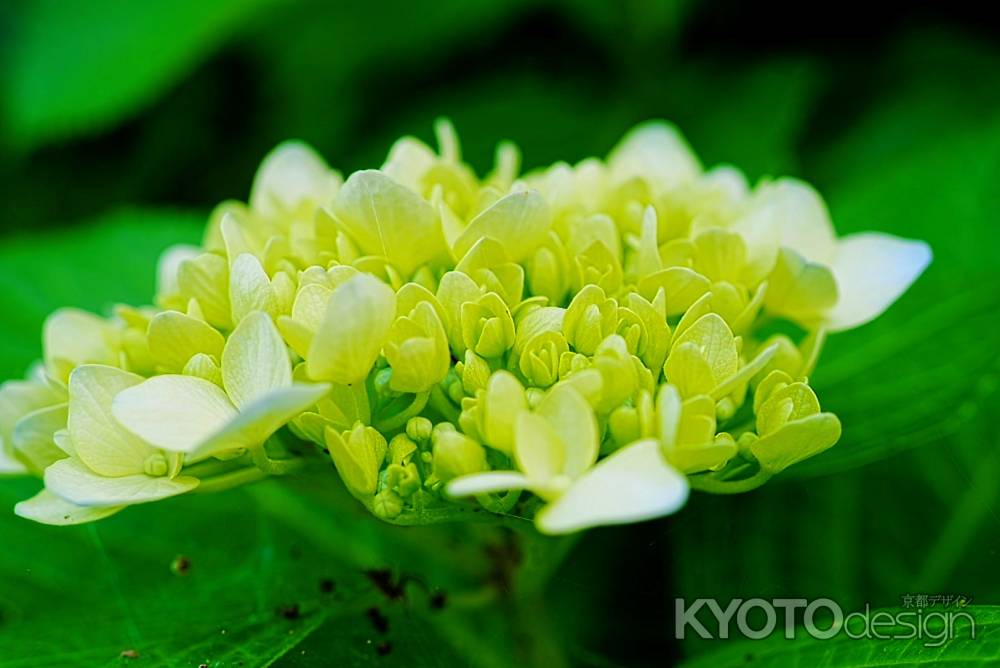 何色になろうか…