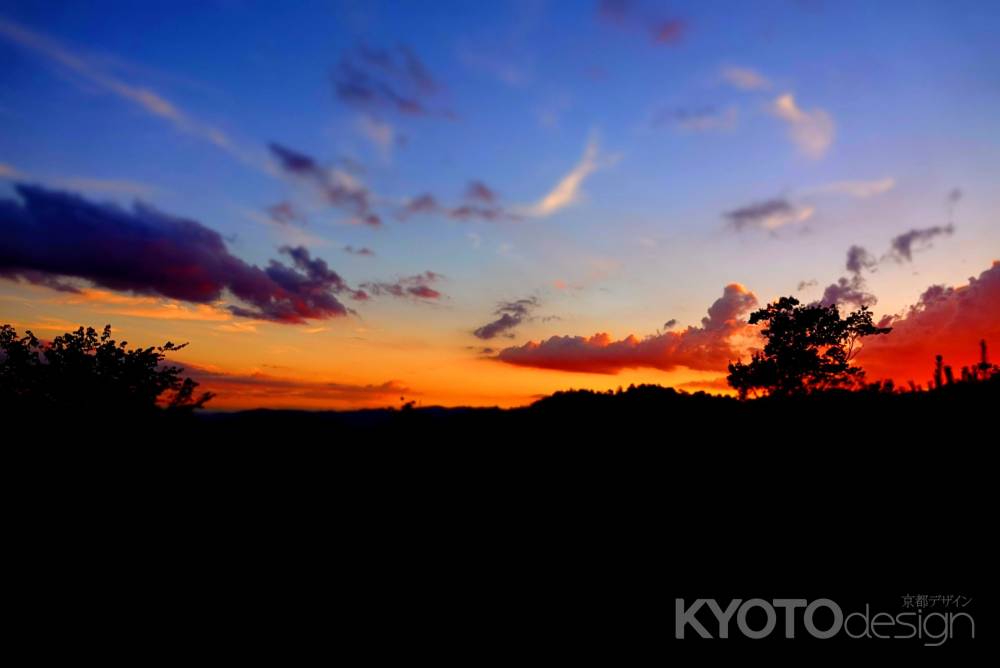 大文字山から見る