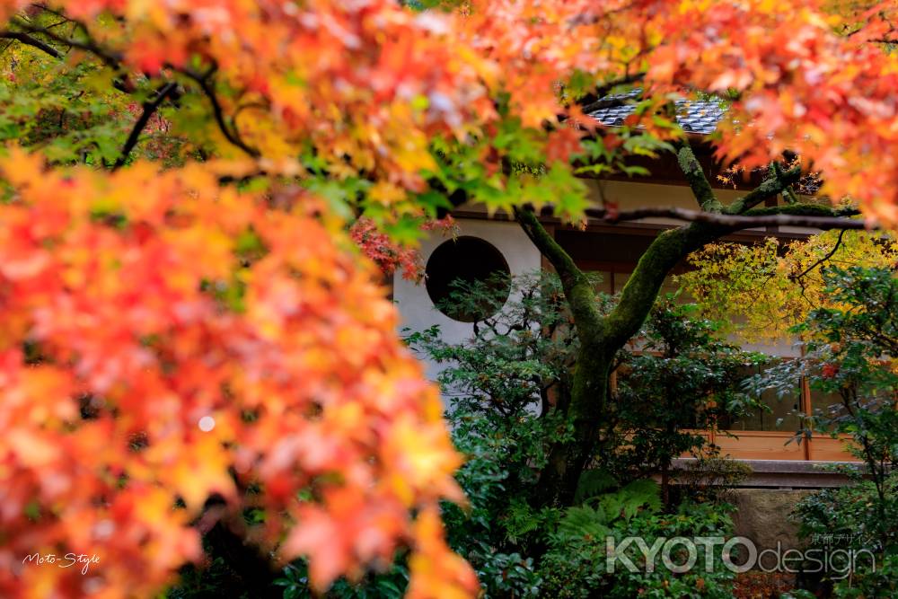 その名を紅葉寺