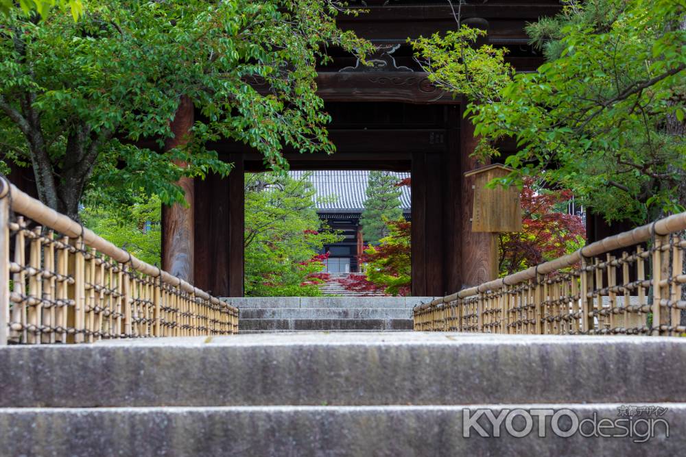 京のくろ谷さん