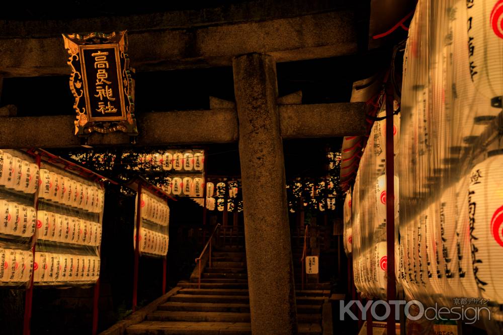 夏の夜を照らす