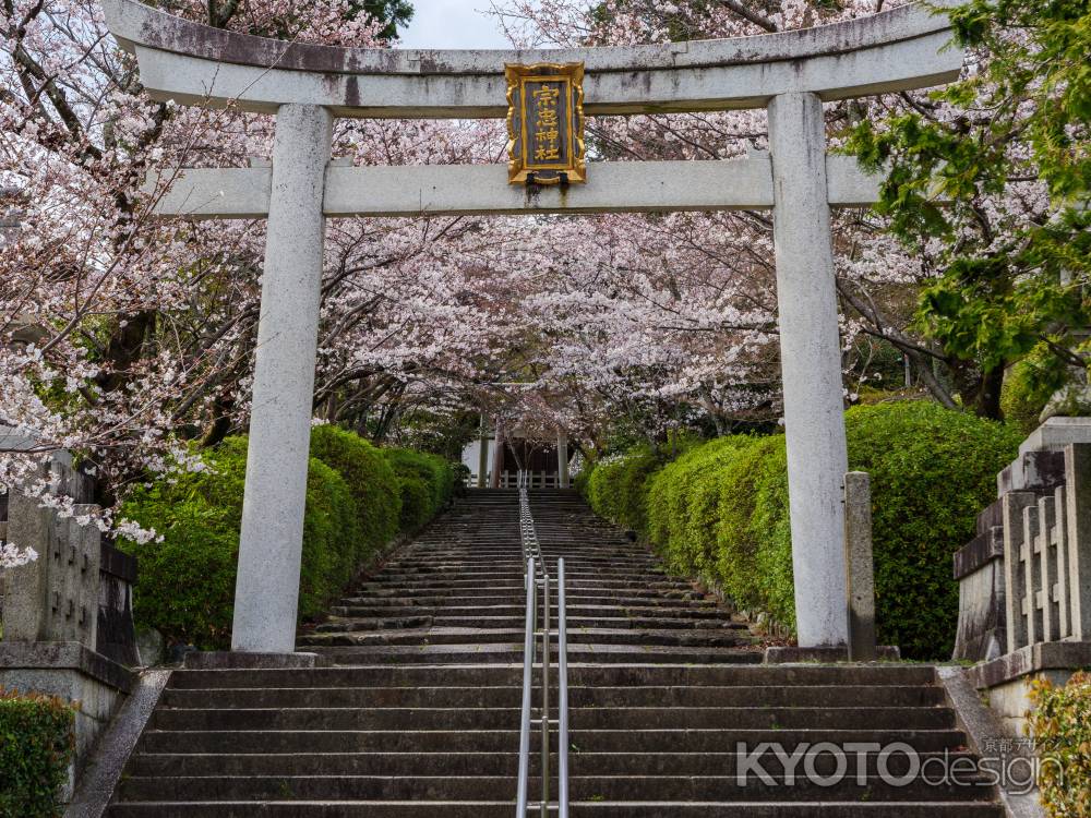 宗忠神社の桜　