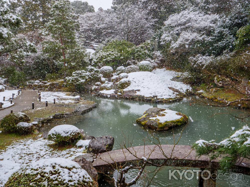 雪降り積もる青蓮院③