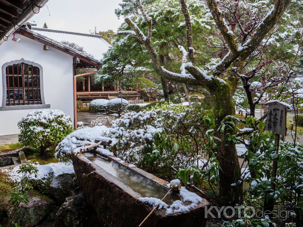雪降り積もる青蓮院①