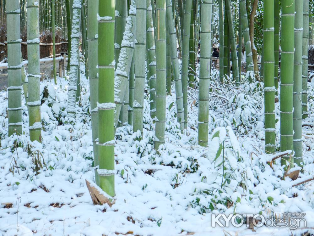 雪と竹のコラボレーション