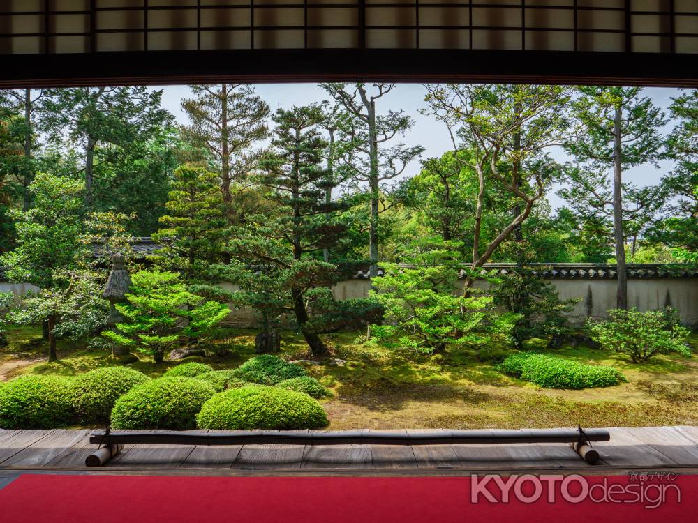 大雄院　苔と緑の枯山水①