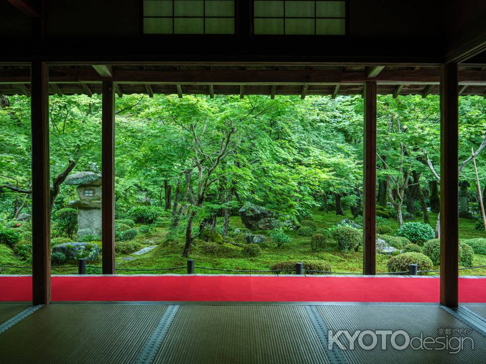 圓光寺　～十牛の庭～