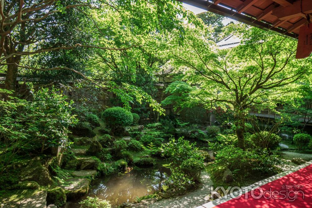 宝泉院　～鶴亀庭園～