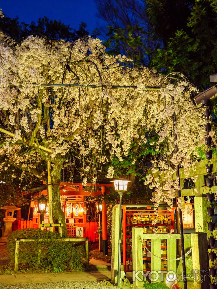 水火天満宮の夜桜①