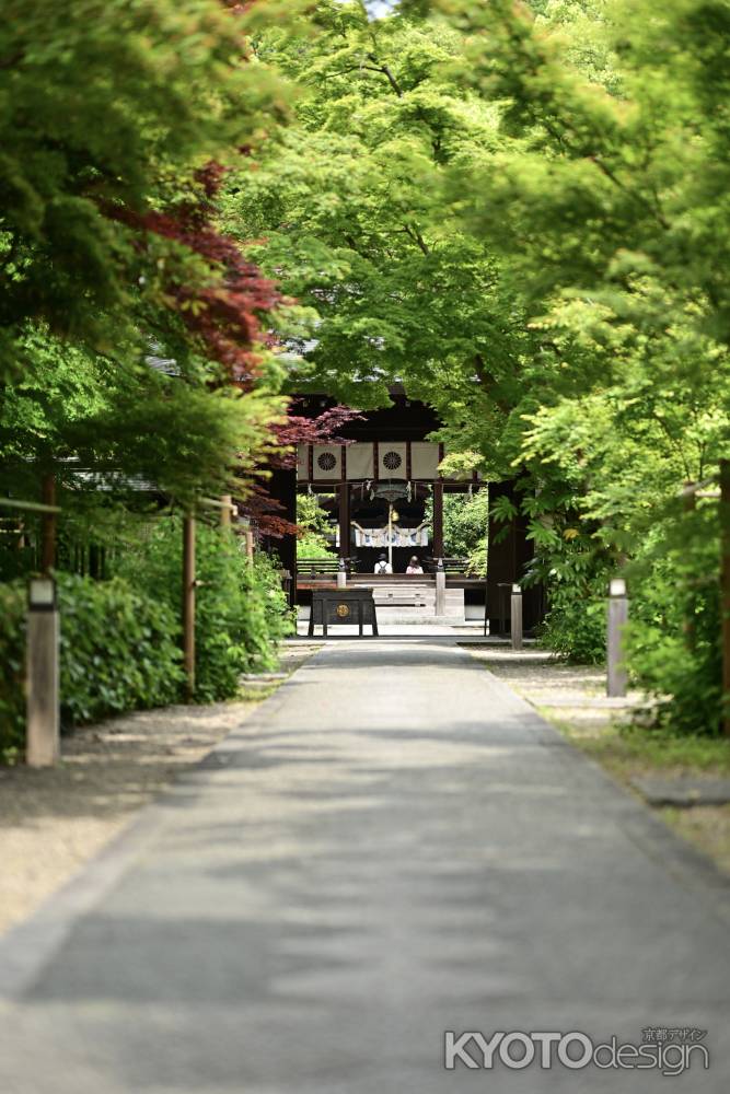 新緑の梨木神社
