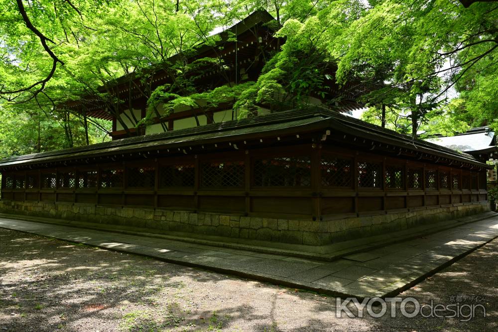 上御靈神社の新緑