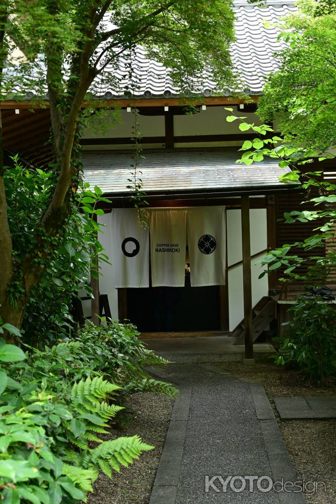 COFFEE BASE NASHINOKI