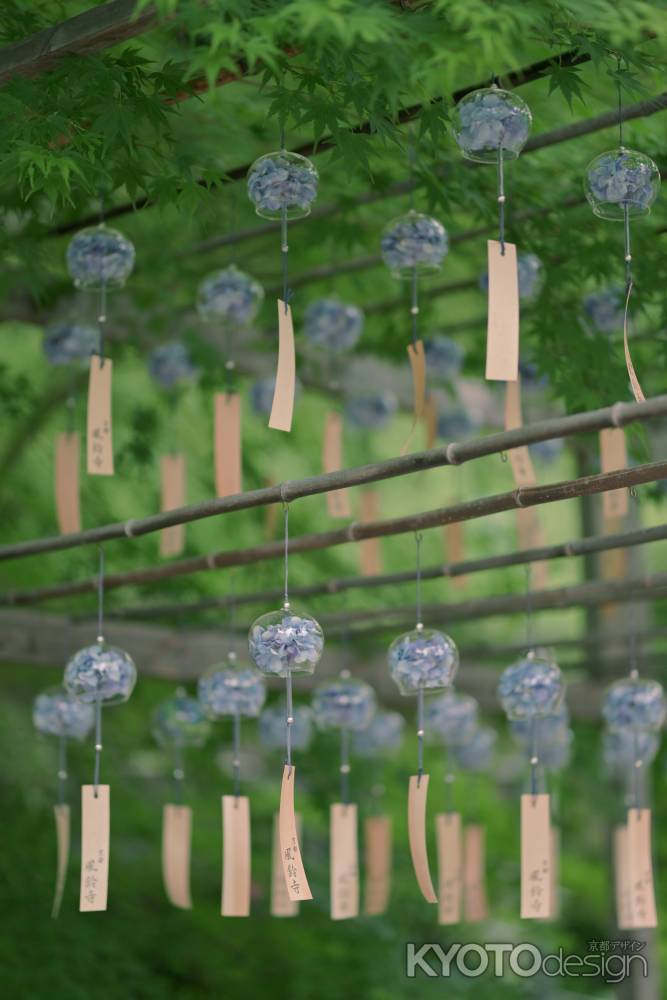 正寿院の風鈴まつり
