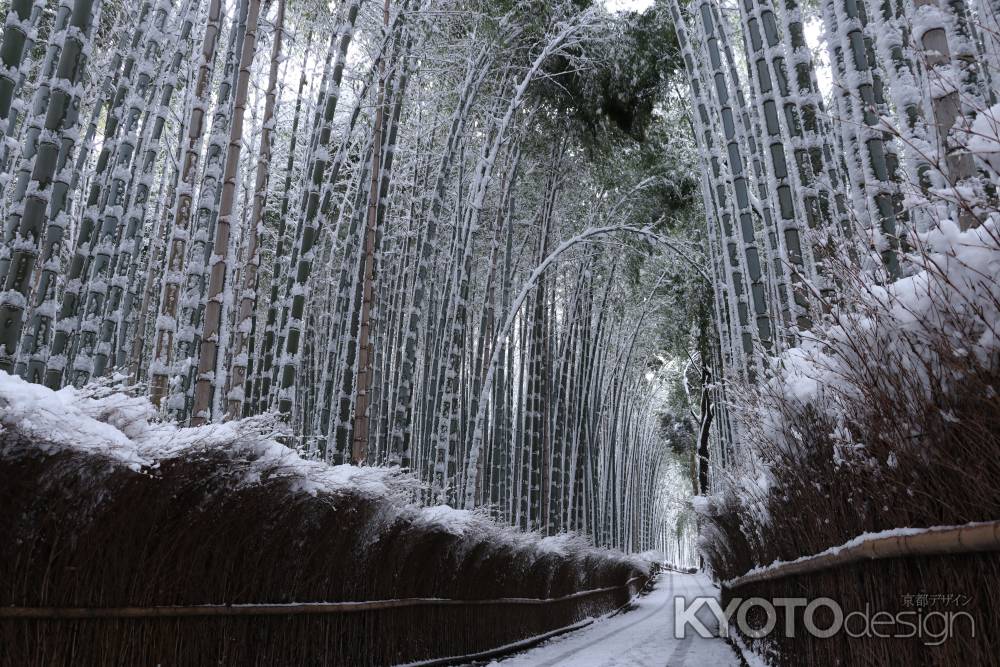 雪と竹