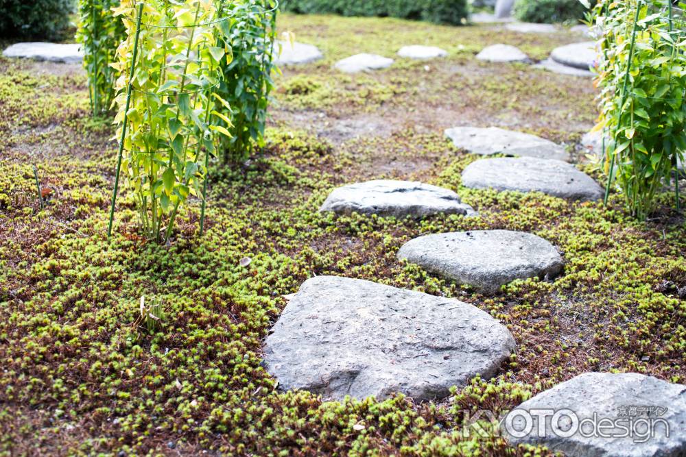 旧三井家下鴨別邸　主屋　庭園の飛び石
