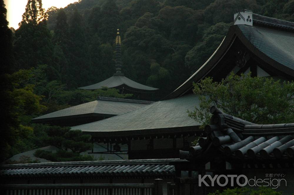 夕方の西芳寺