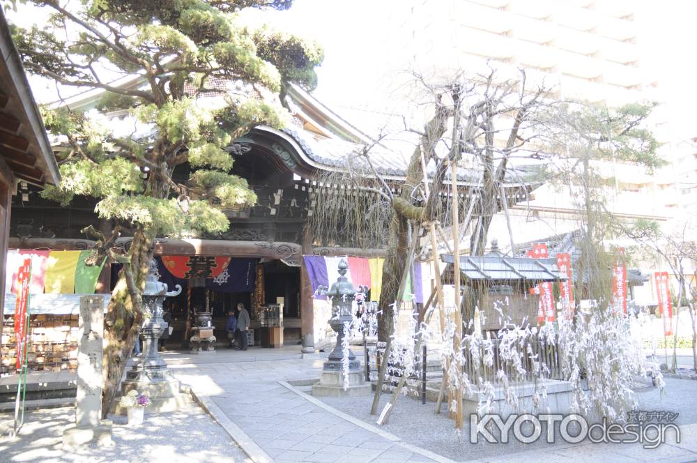 六角堂境内　本殿を臨む