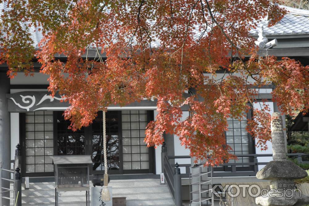 長法寺本堂と紅葉