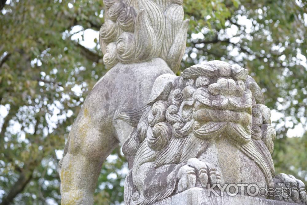 藤森神社 狛犬5