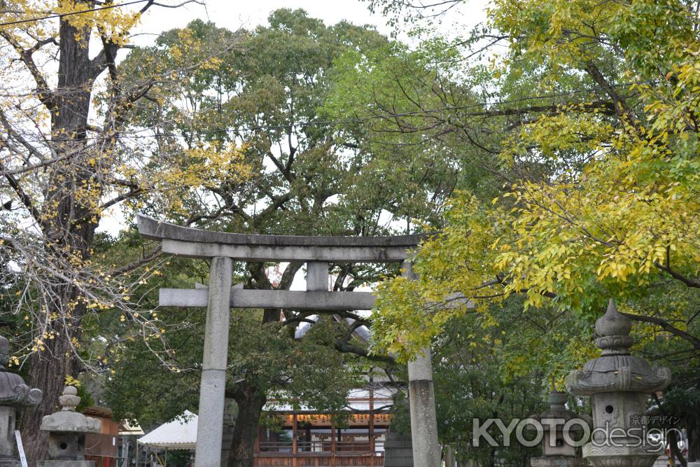 藤森神社 鳥居と色づく木の葉