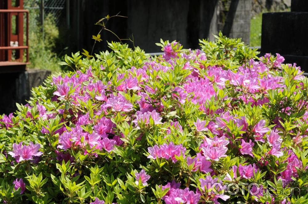 蹴上インクライン１９