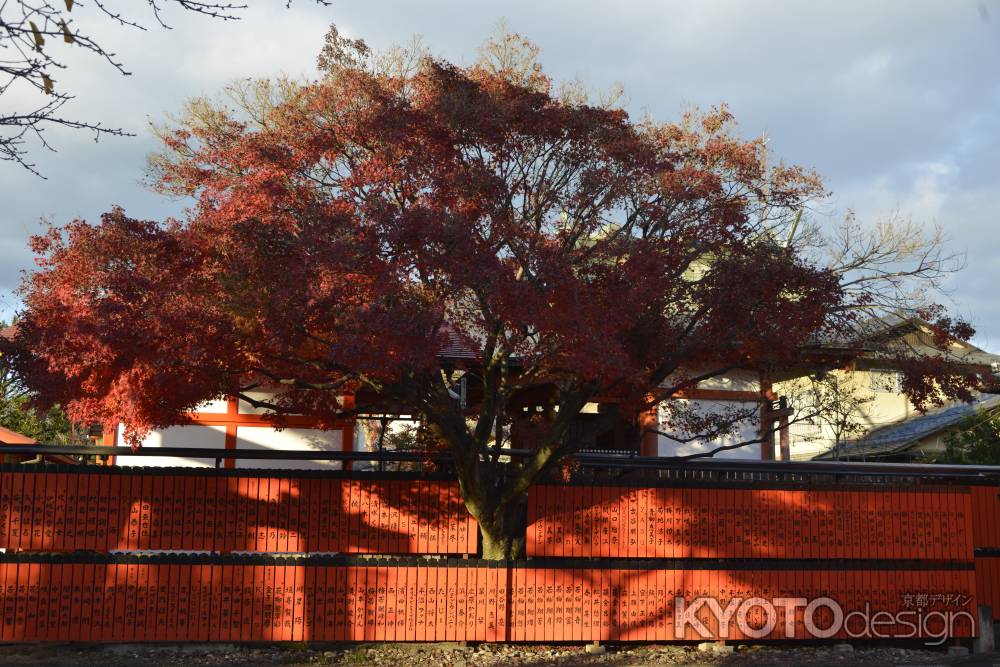 車折神社の紅葉１