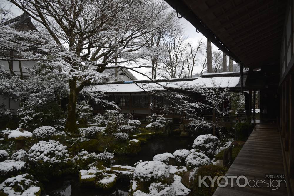 雪に包まれる庭園