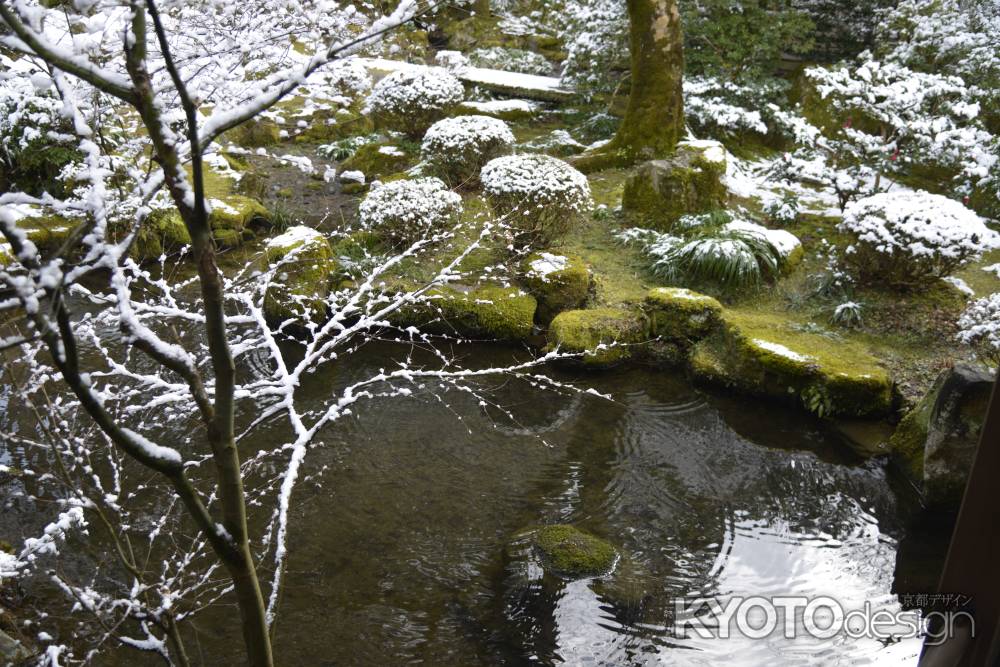 水面に映える雪景色