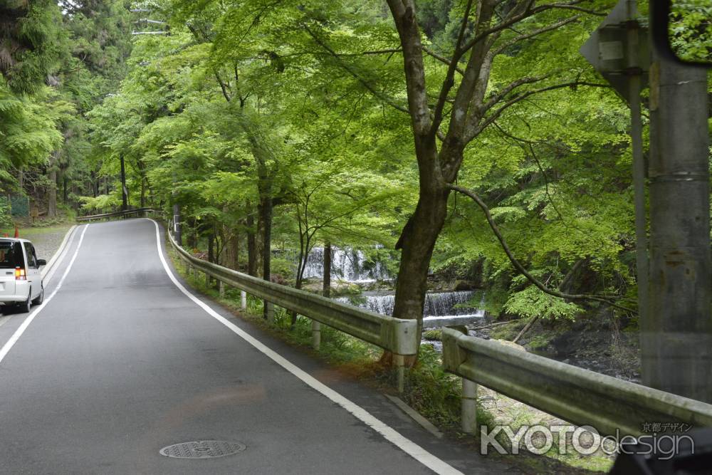 あふれるマイナスイオン