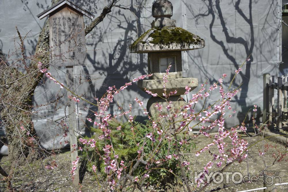 北野天満宮　織部形灯籠