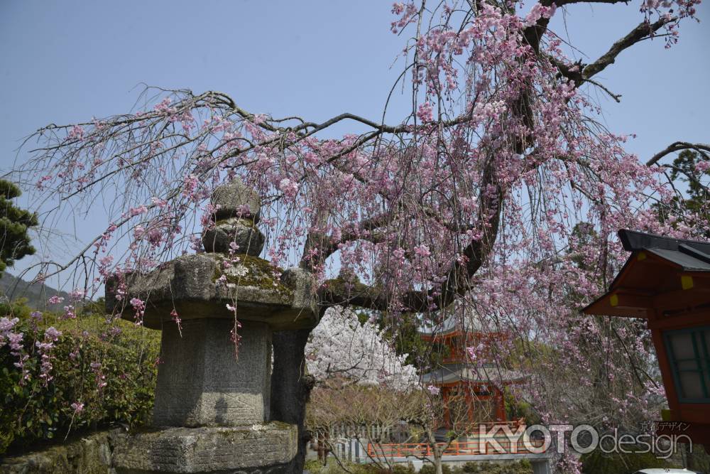 正法寺　奥には遍照堂