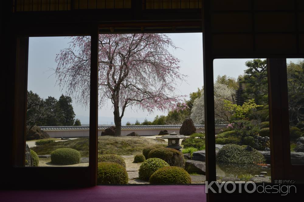 正法寺　庭をのぞむ