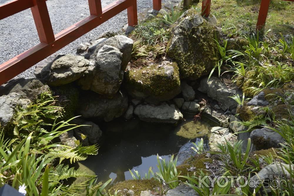 大原野神社　瀬和井の清水