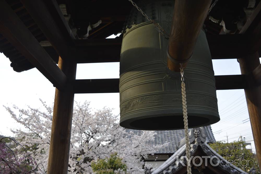 上品蓮台寺　鐘楼とサクラ