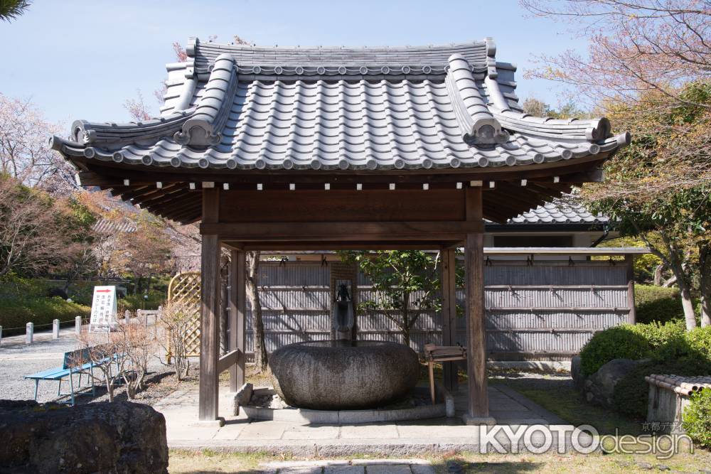 妙満寺　手水舎