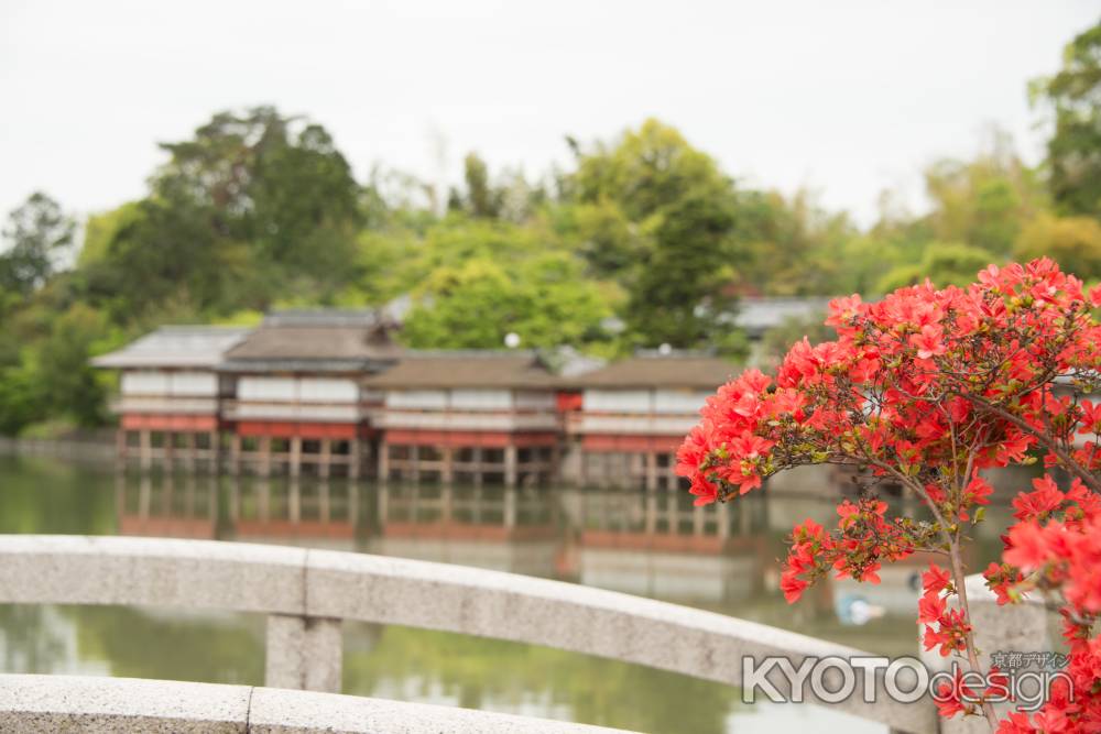 長岡天満宮　八条が池