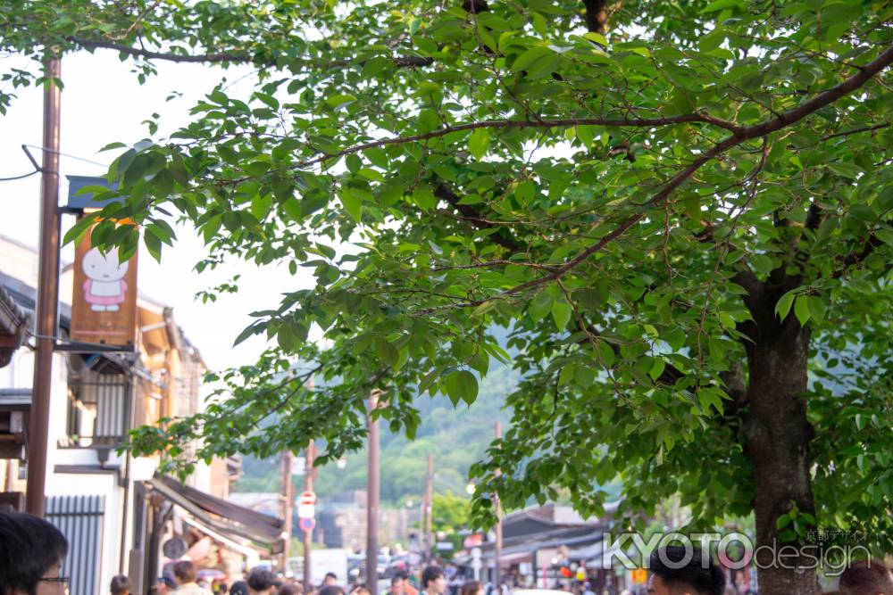 嵐山　街中の緑