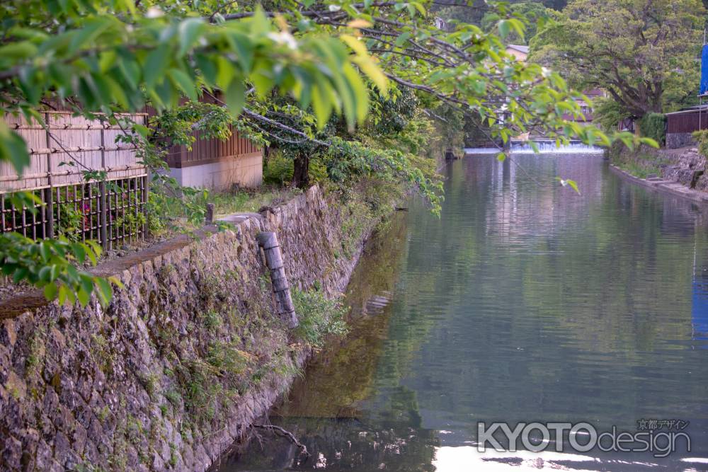 嵐山　川の通り道