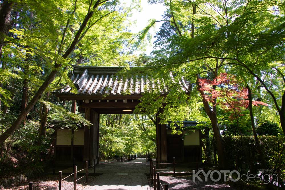 光明寺　薬医門まで２