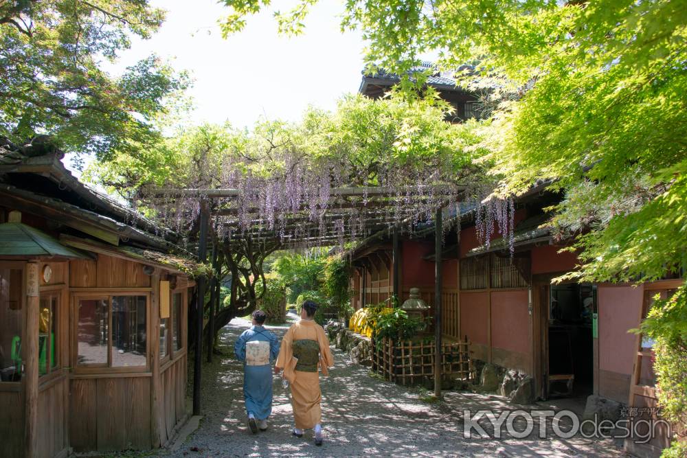 錦水亭　着物と藤