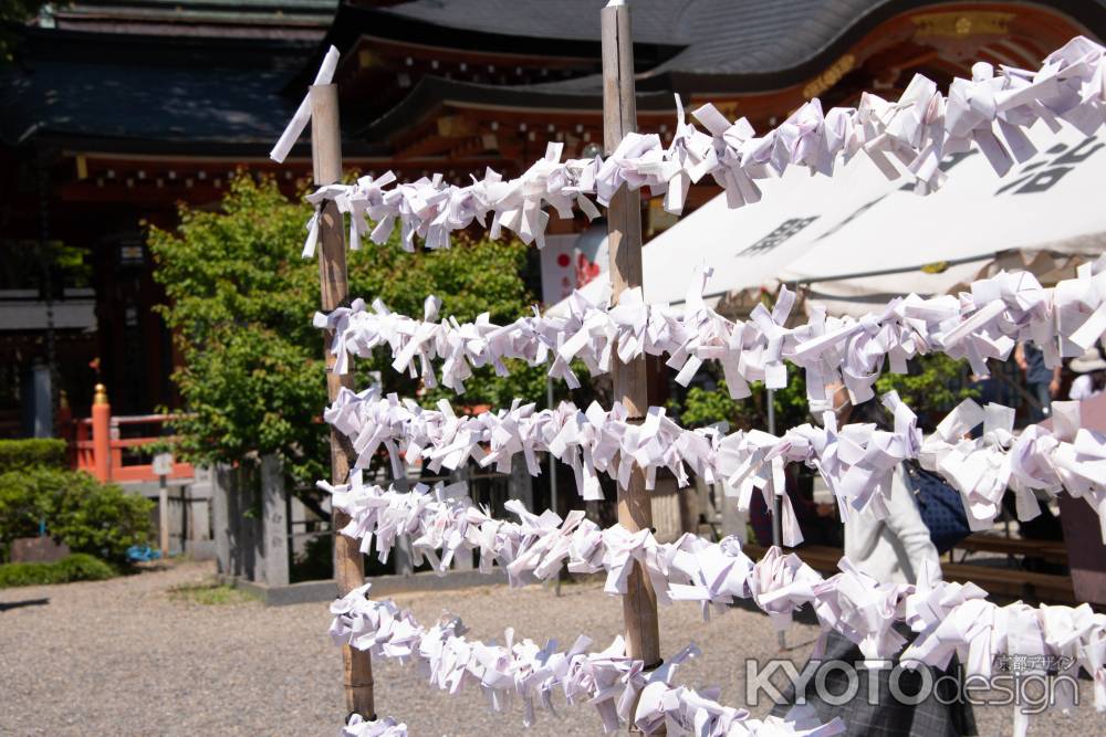 長岡天満宮　おみくじ