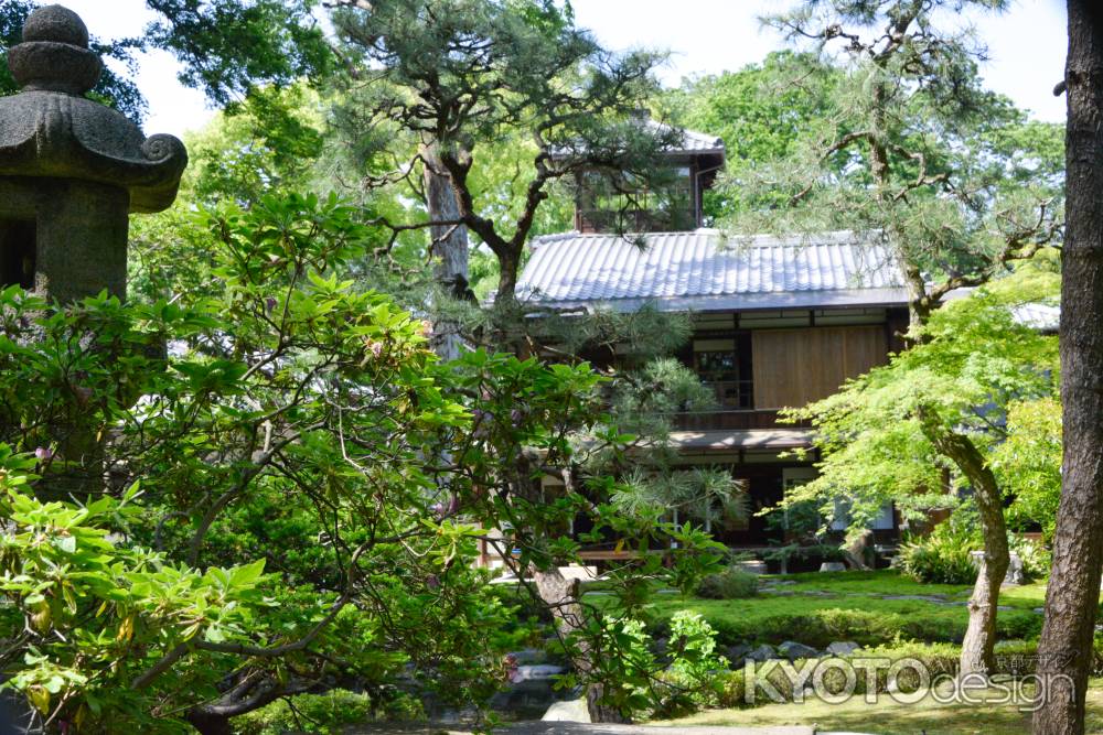 旧三井家下鴨別邸　広がる庭園