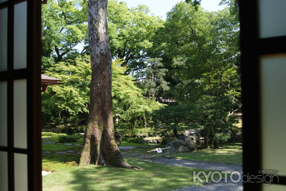旧三井家下鴨別邸　窓からの眺め