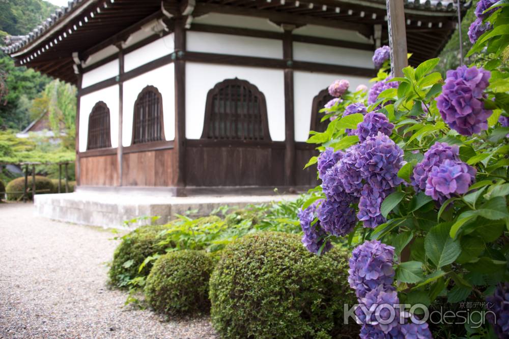 善峯寺　経堂に映える紫