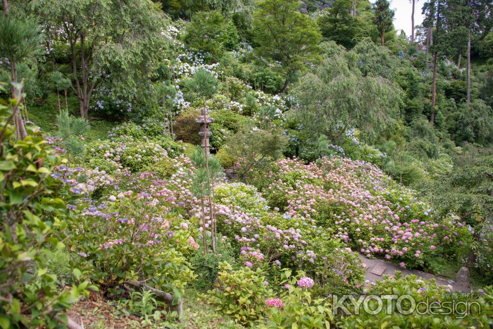 善峯寺　一面に広がる初夏の色