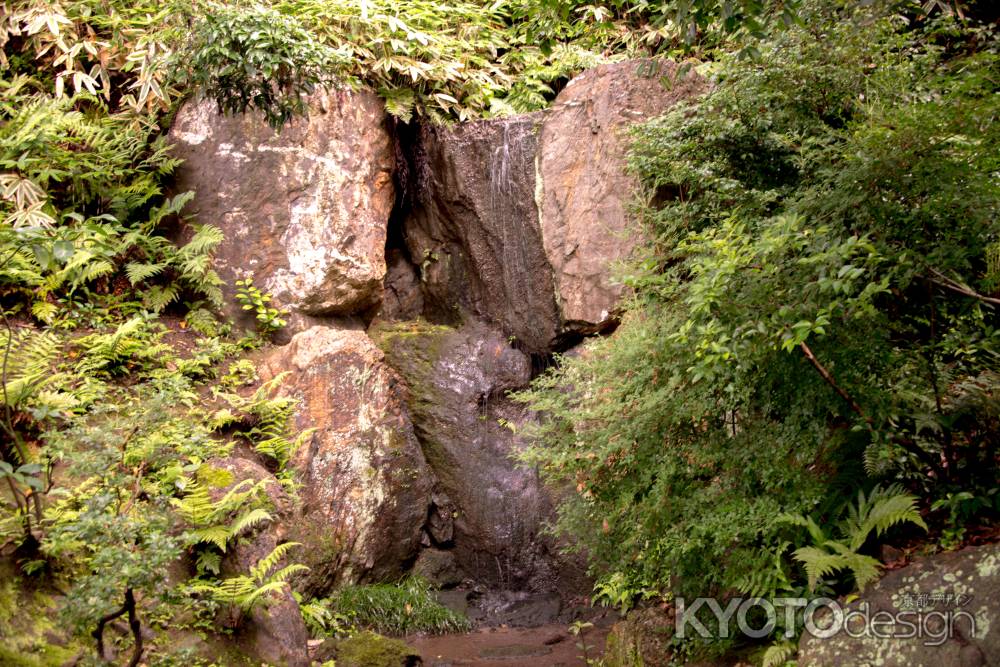 法金剛院　青女の滝