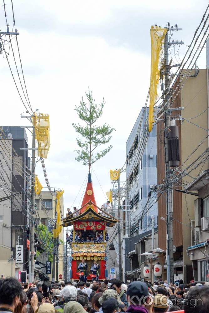 曳初め　岩戸山を迎える