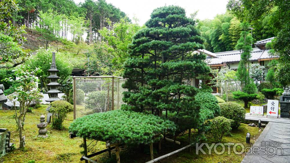 三寳寺 土用の丑祈祷会-01789